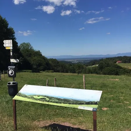 Hotel Garni Schmieder'S Ochsen Hotel Seelbach (Baden-Wurttemberg)