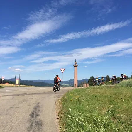 Hotel Garni Schmieder'S Ochsen 3* Seelbach (Baden-Wurttemberg)