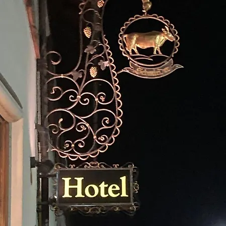 Ξενοδοχείο Garni Schmieder's Ochsen Seelbach (Baden-Wurttemberg)