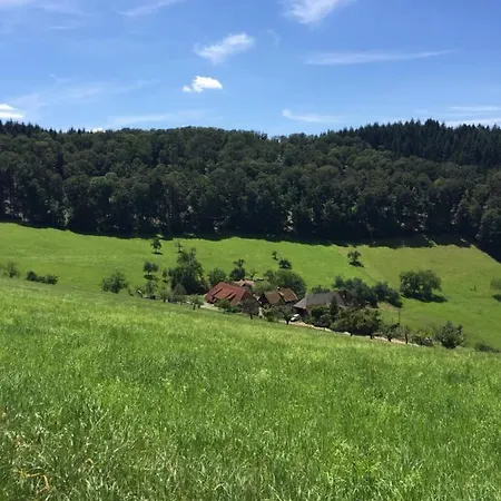 Garni Schmieder's Ochsen 3*