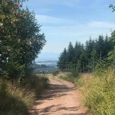 Hotel Hotel Garni Schmieder'S Ochsen