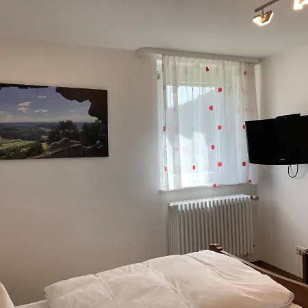 Garni Schmieder's Ochsen מלון 3*