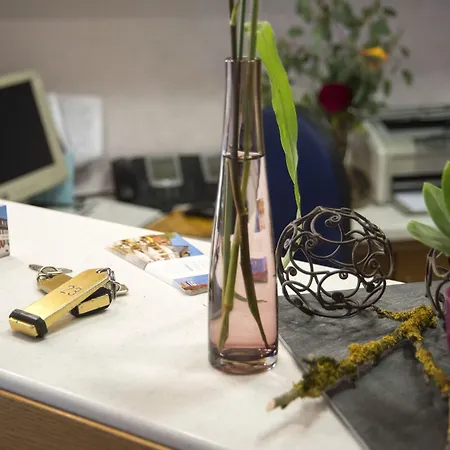 Ξενοδοχείο Garni Schmieder's Ochsen 3*