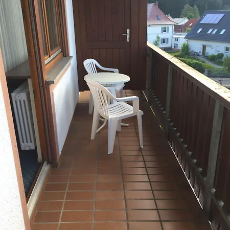 Garni Schmieder's Ochsen Seelbach (Baden-Wurttemberg)