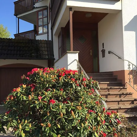 Hotel Garni Schmieder'S Ochsen Hotel Seelbach (Baden-Wurttemberg)