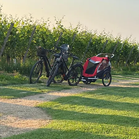 Garni Schmieder's Ochsen 3* Seelbach (Baden-Wurttemberg)