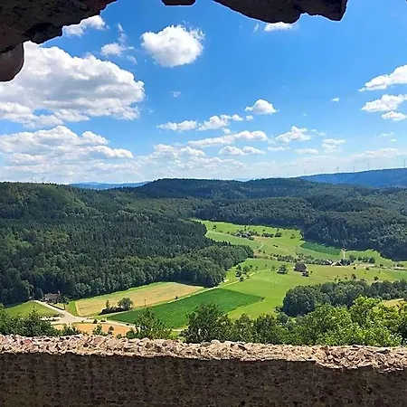 Hotel Garni Schmieder's Ochsen Seelbach (Baden-Wurttemberg)
