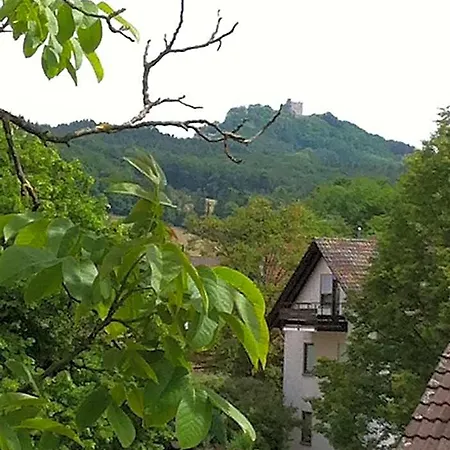 فندق Garni Schmieder's Ochsen
