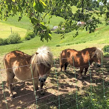 Garni Schmieder's Ochsen