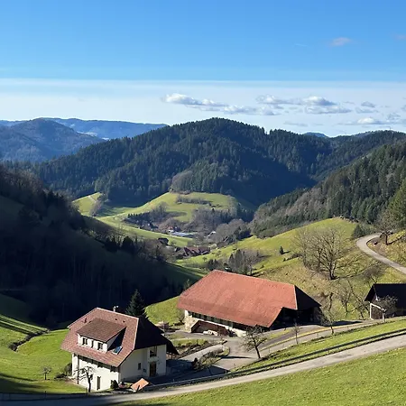 Hotel Garni Schmieder'S Ochsen Hotel 3*