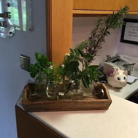 Hotel Garni Schmieder'S Ochsen 3*