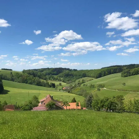 Hotel Garni Schmieder's Ochsen 3*